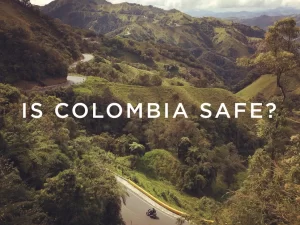 Image Is it safe to travel in Colombia? - Elephant